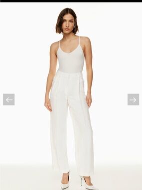 Aritzia Babaton Agency Pant